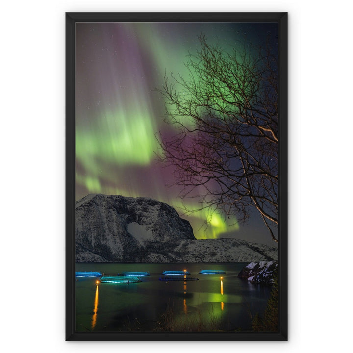 Fish pens across Lundøya with aurora II - Framed Canvas