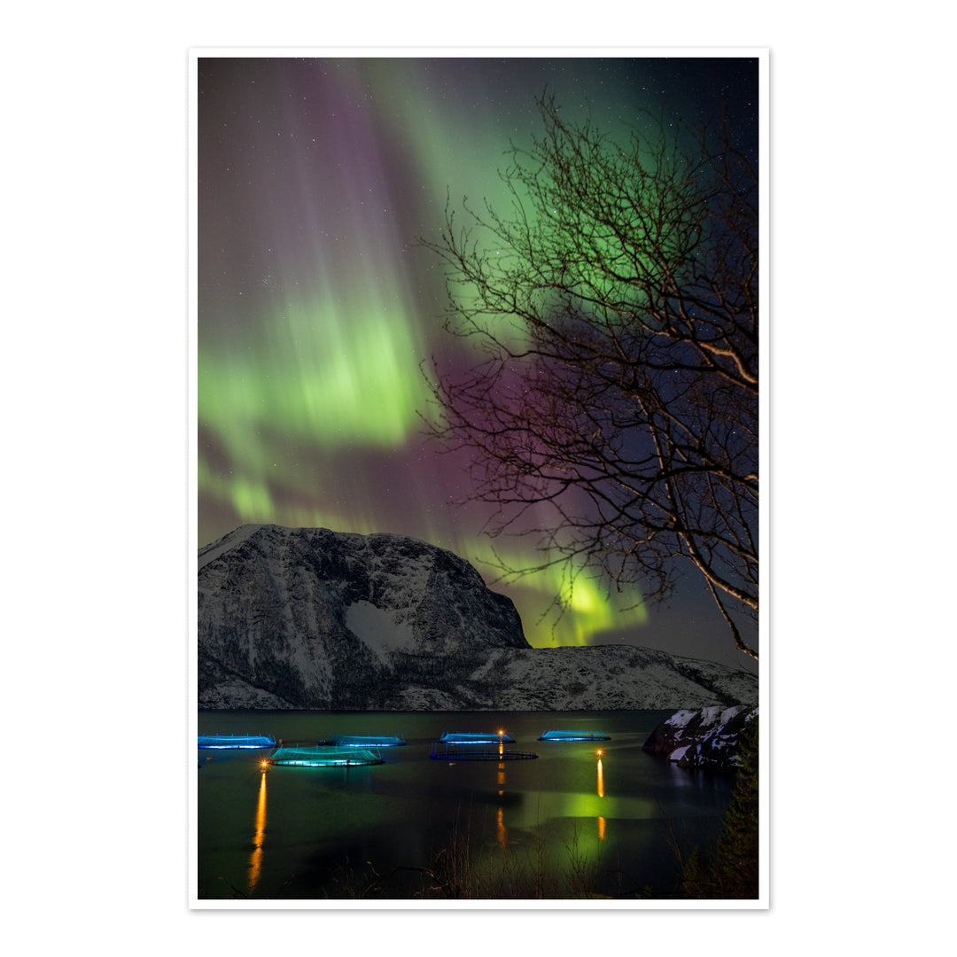Fish pens across Lundøya with aurora II - Hahnemühle Photo Rag Print