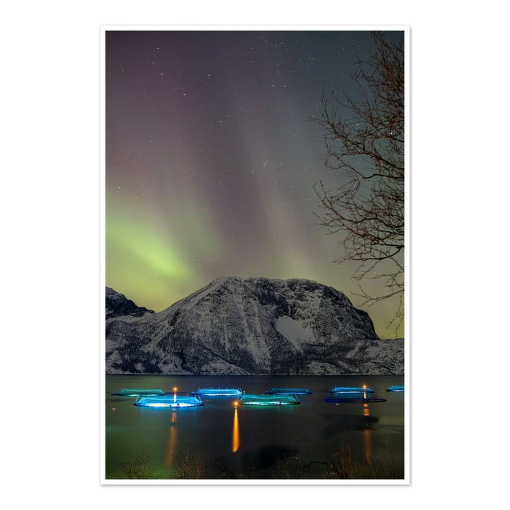 Fischgehege über Lundøya mit Aurora III – Fotokunstdruck