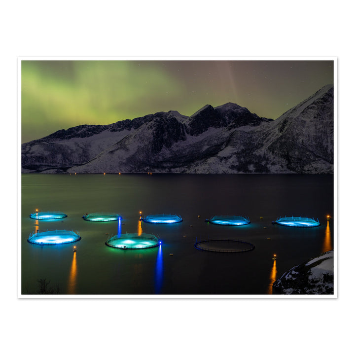 Fish pens across Lundøya with aurora IV - Hahnemühle Photo Rag Print