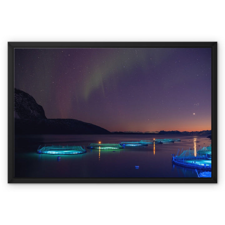 Fish pens across Lundøya with aurora VI - Framed Canvas