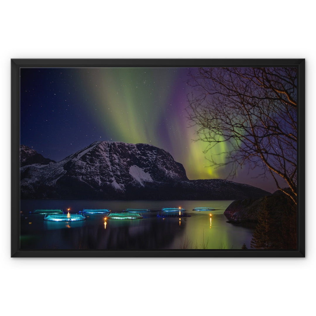 Corrales de peces en Lundøya con aurora VII - Lienzo enmarcado
