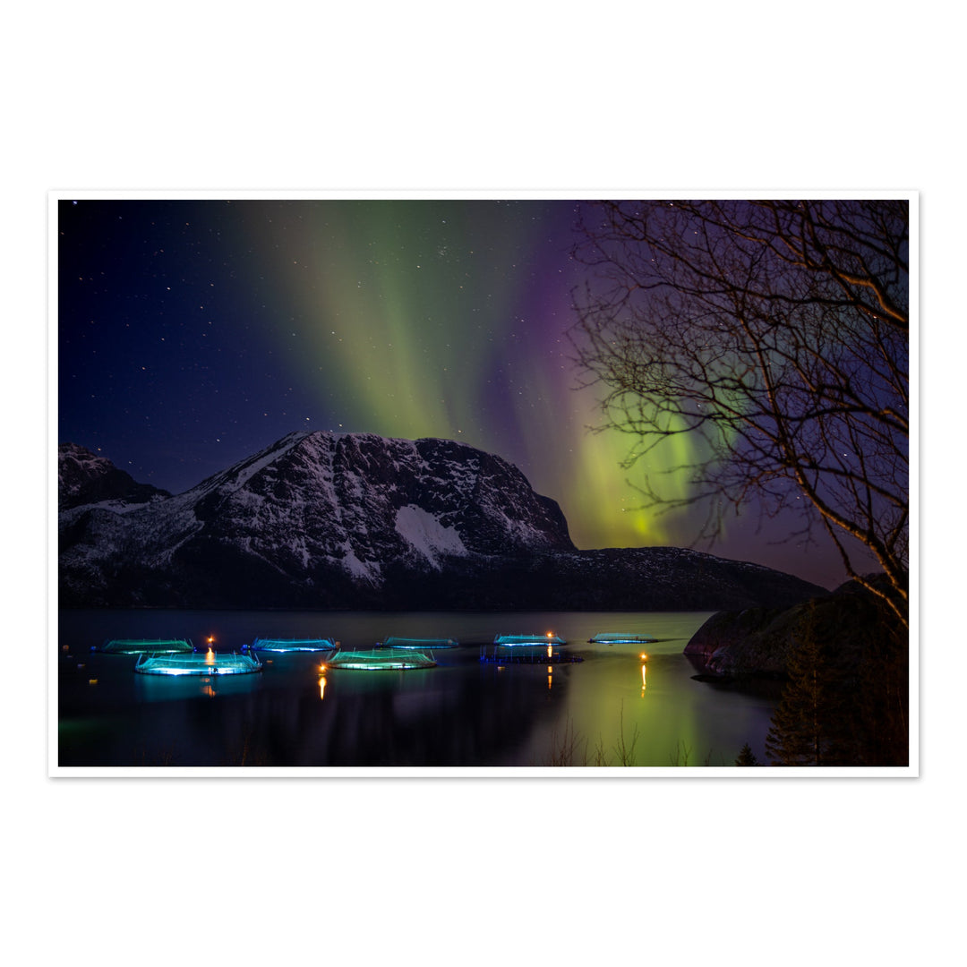 Fish pens across Lundøya with aurora VII - Photo Art Print