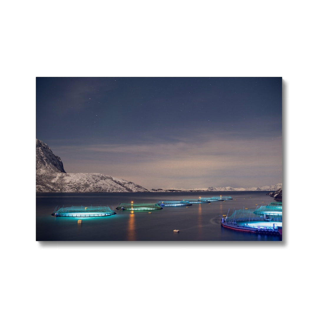 Fischstifte bei Vollmond - Leinwand