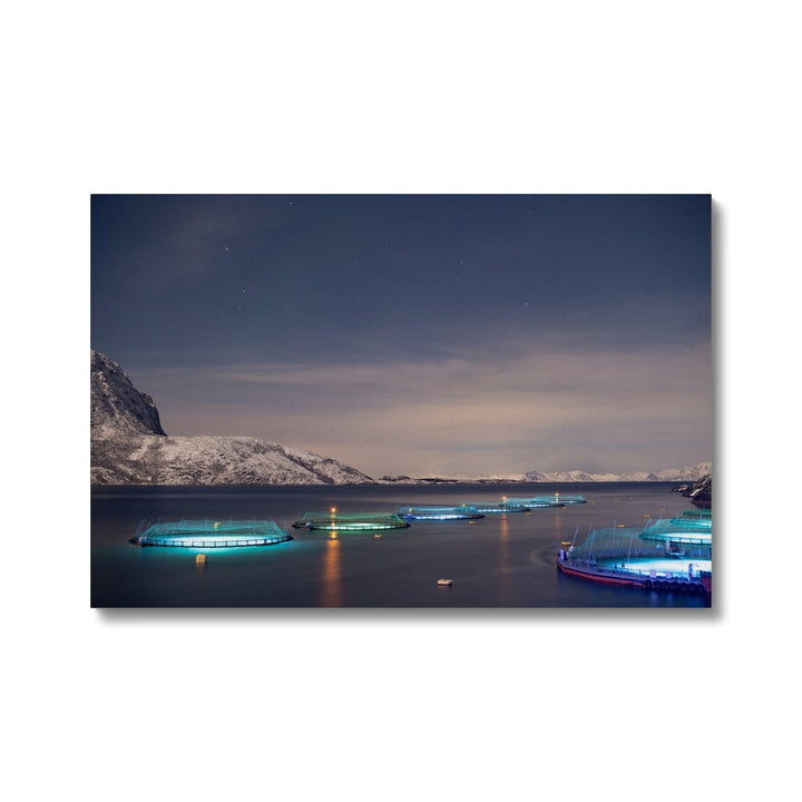 Fischstifte bei Vollmond - Leinwand