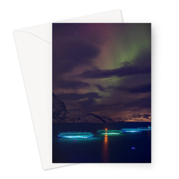 Fischstifte mit Aurora I - Grußkarte