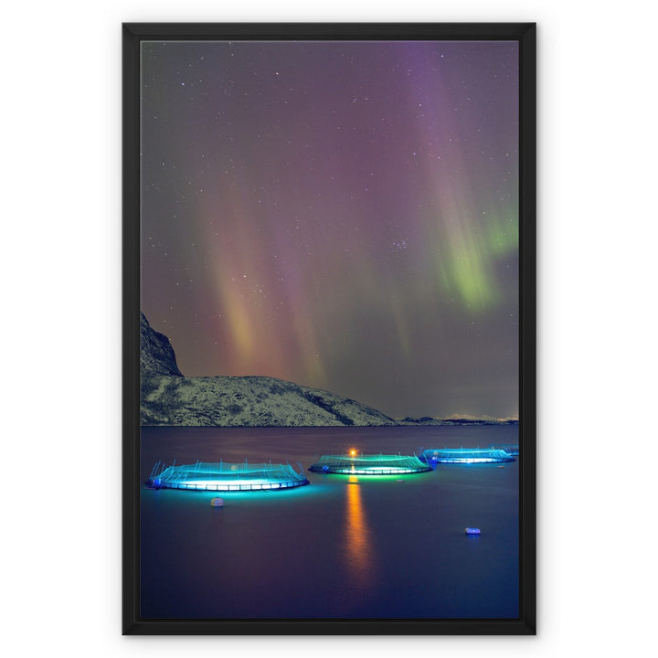 Fish pens with aurora II - Framed Canvas