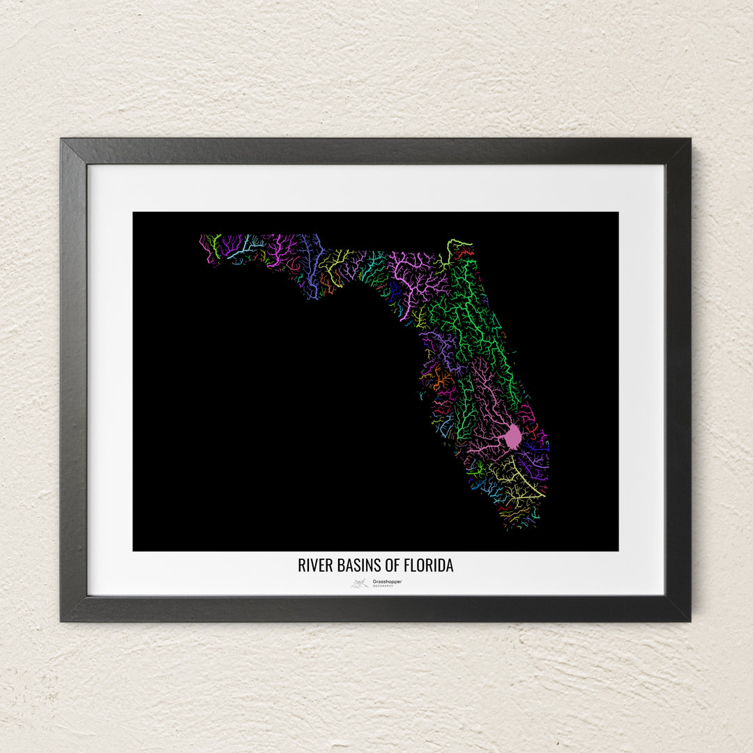 A colorful Grasshopper Geography river map on a light wall. The premium fine art poster is in a black frame with a white border. The name of the country, continent or region is printed under the image.