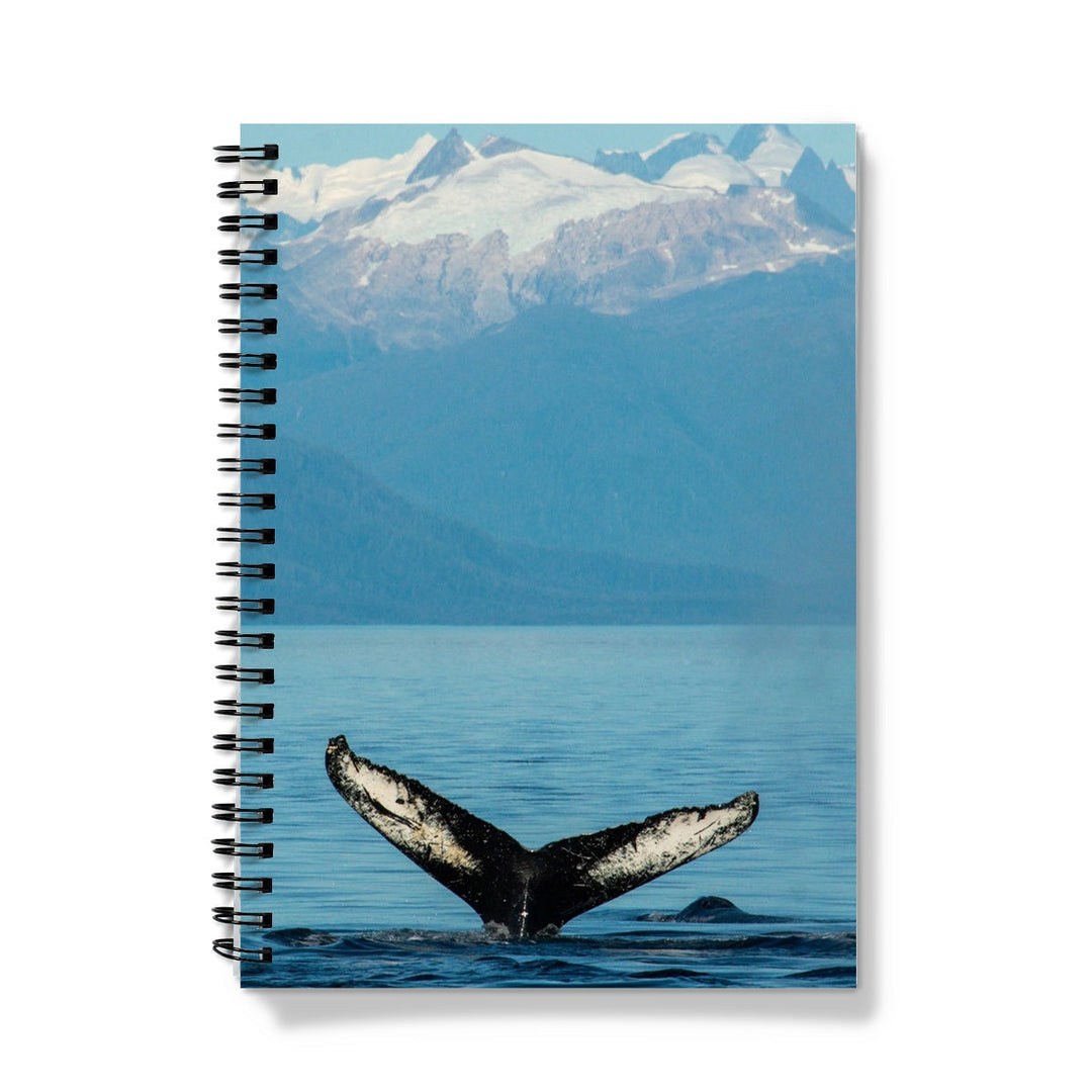 Fluke - Notebook