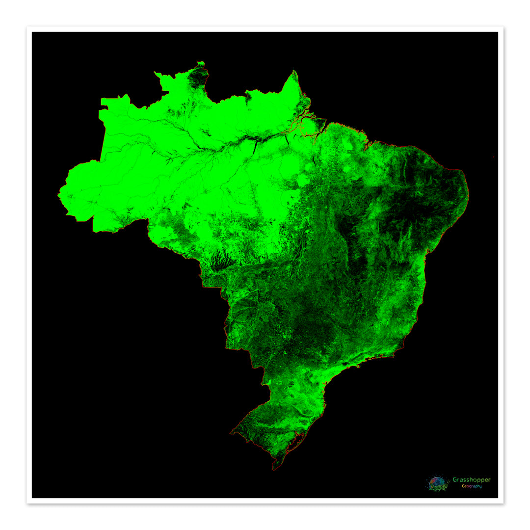 Brasil - Mapa de cobertura forestal - Impresión de Bellas Artes