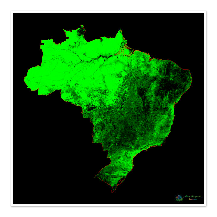 Brésil - Carte du couvert forestier - Tirage d'art