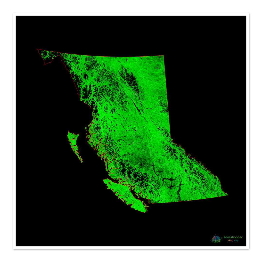 Columbia Británica - Mapa de cobertura forestal - Impresión de bellas artes