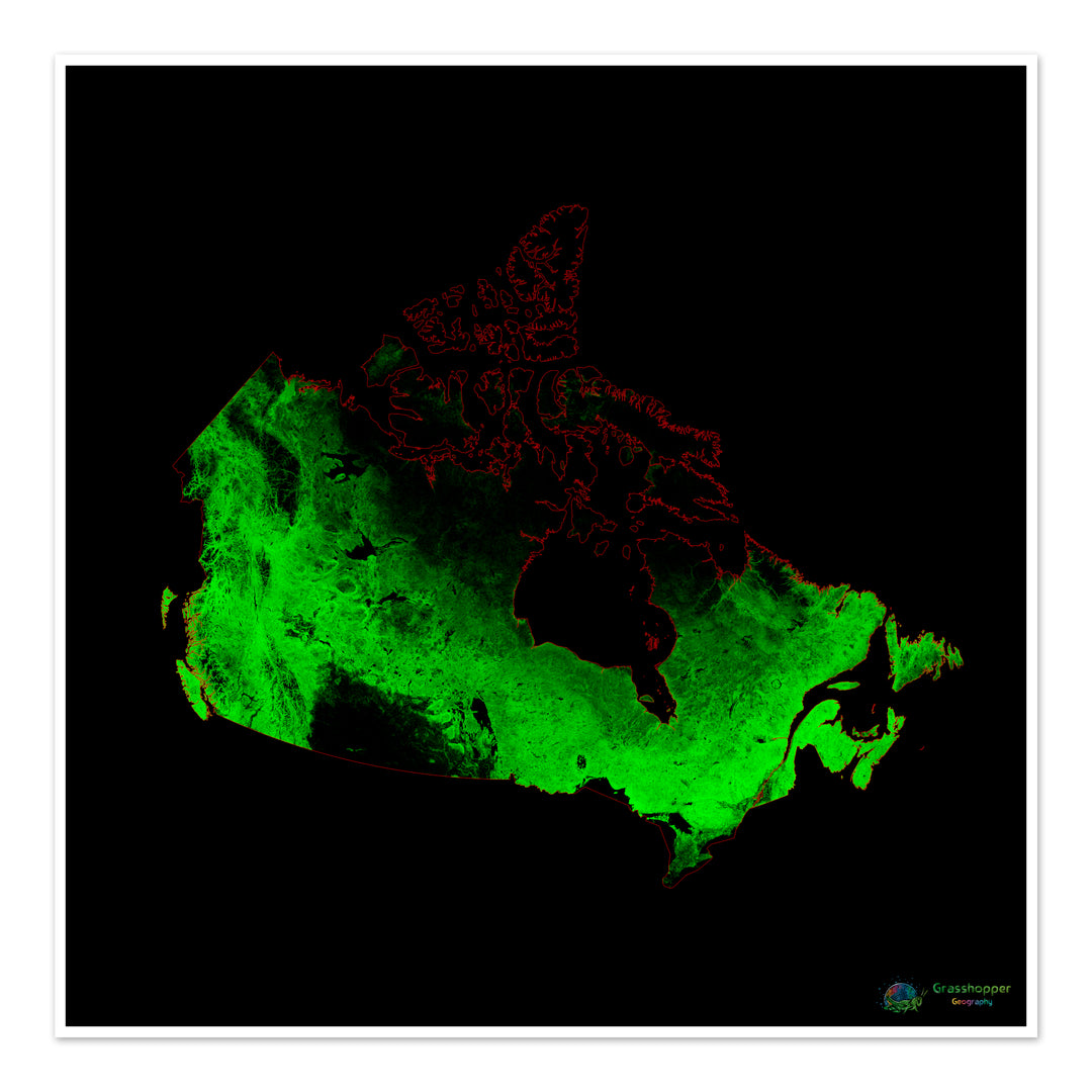 Canadá - Mapa de cobertura forestal - Impresión de bellas artes