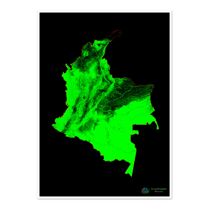 Colombia - Mapa de cobertura forestal - Impresión de Bellas Artes