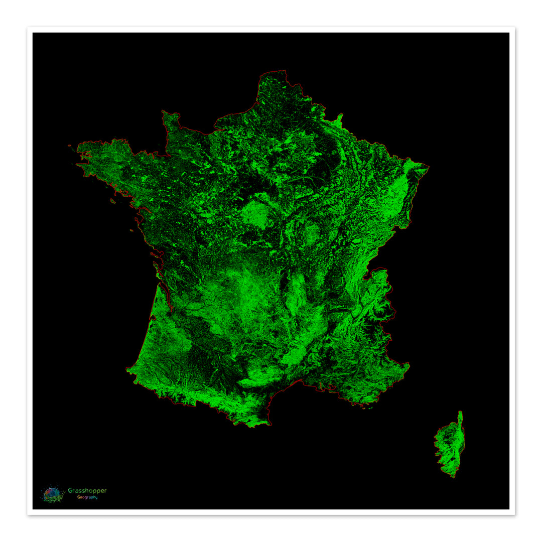 Francia - Mapa de cobertura forestal - Impresión de Bellas Artes