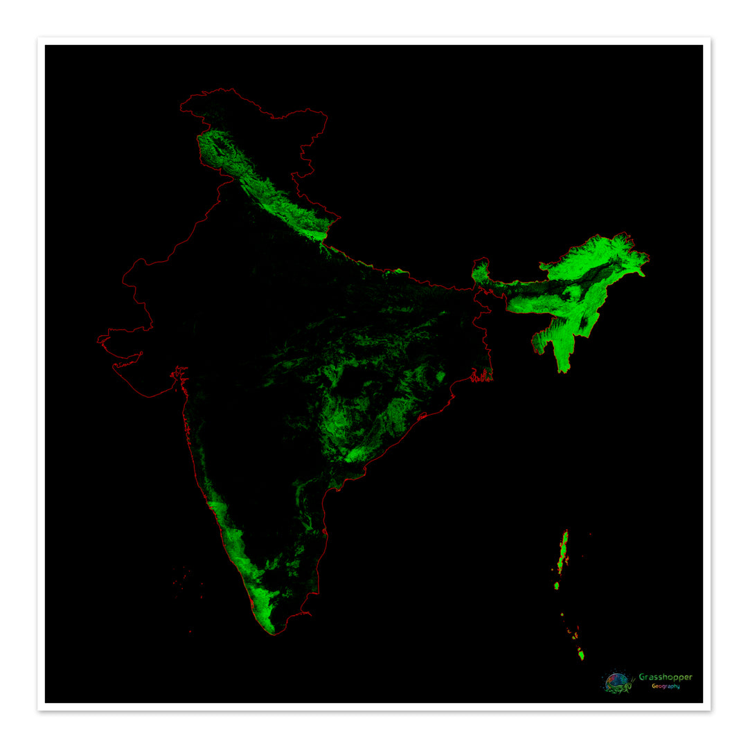 India - Mapa de cobertura forestal - Impresión de bellas artes