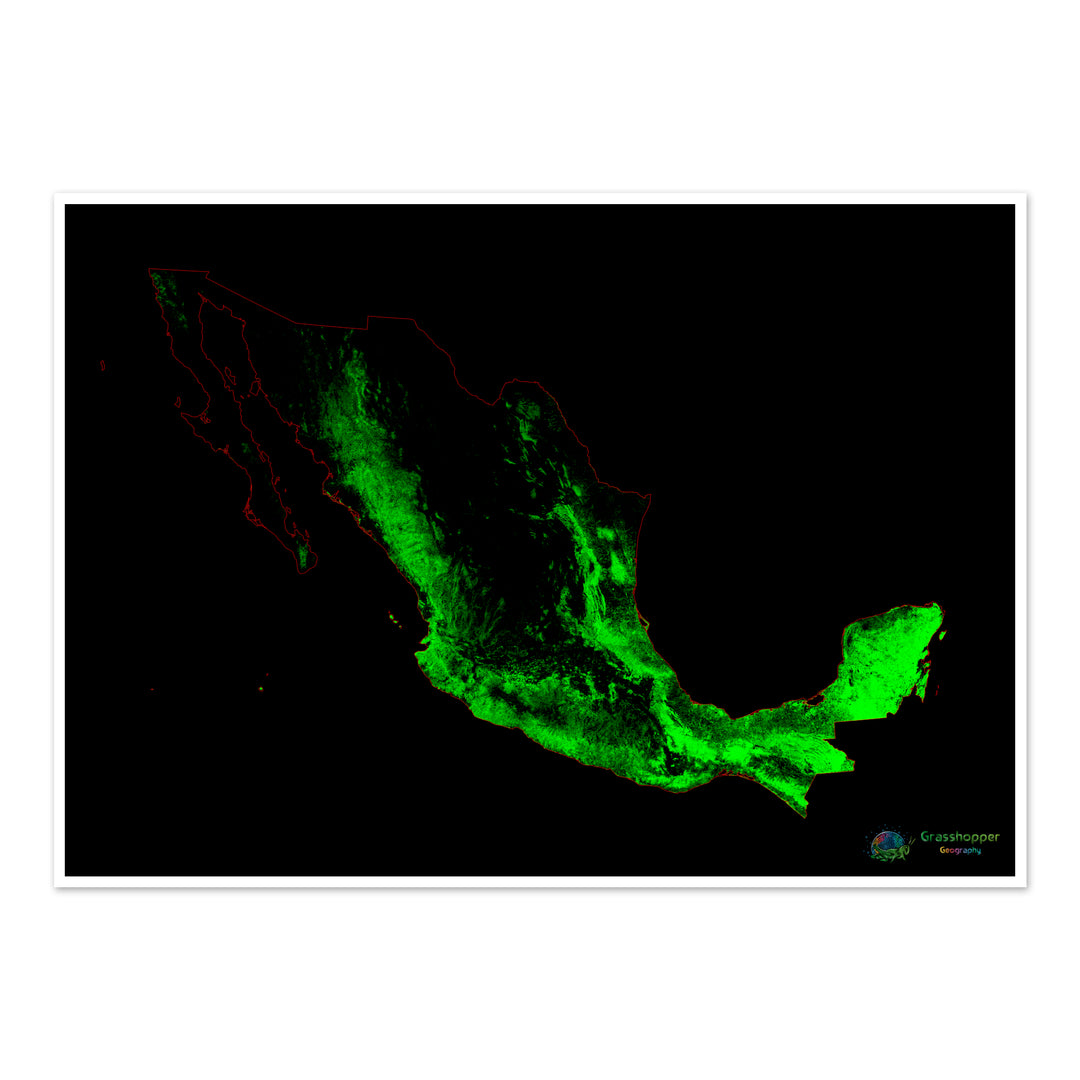 México - Mapa de cobertura forestal - Impresión de Bellas Artes