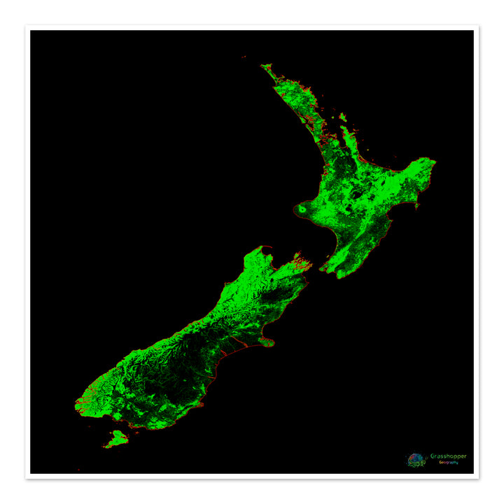 Nouvelle-Zélande - Carte du couvert forestier - Tirage d'art