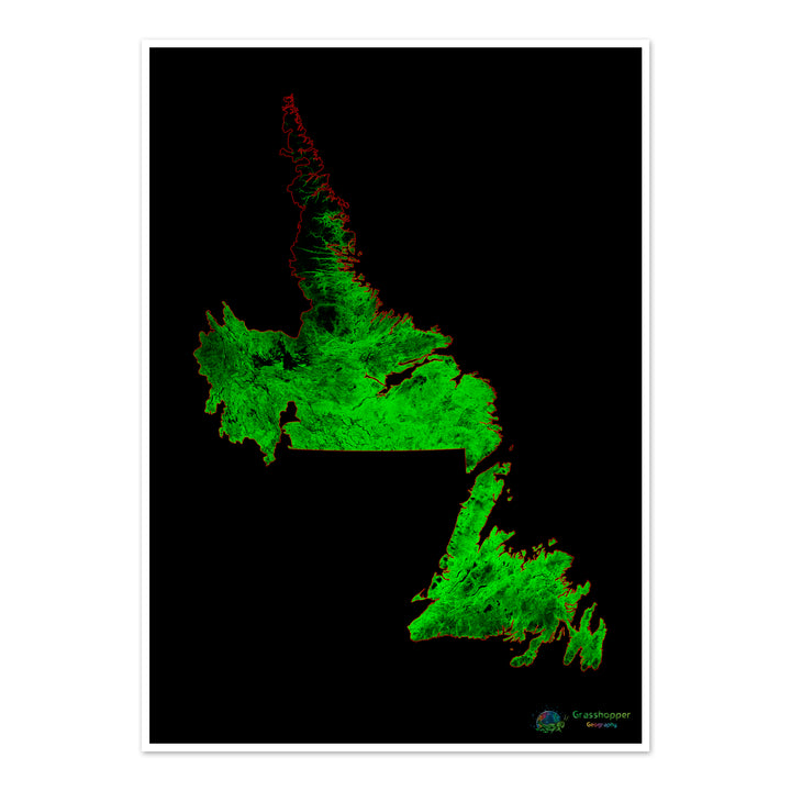 Terranova y Labrador - Mapa de cobertura forestal - Impresión de bellas artes