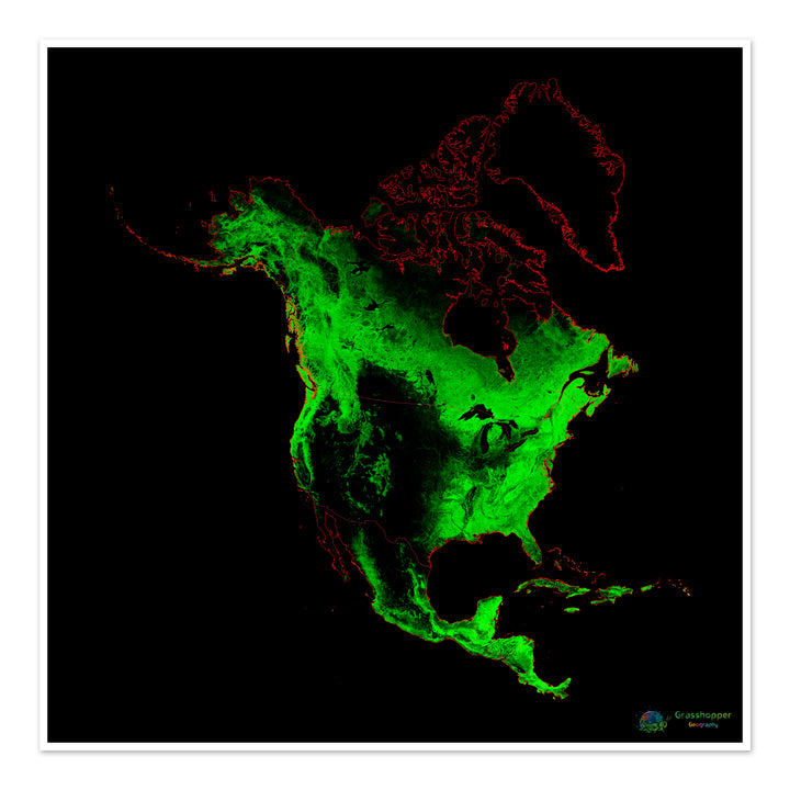 Amérique du Nord - Carte du couvert forestier - Tirage d'art