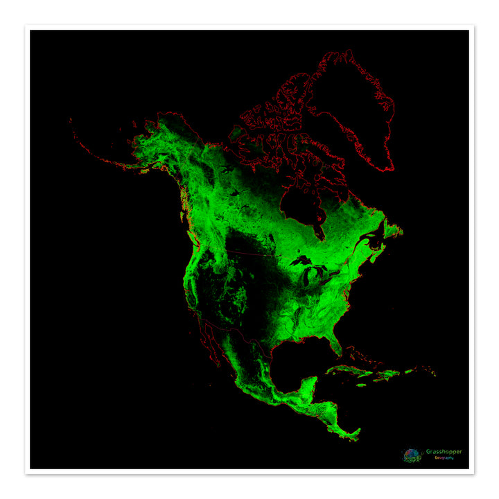 América del Norte - Mapa de cobertura forestal - Impresión de bellas artes