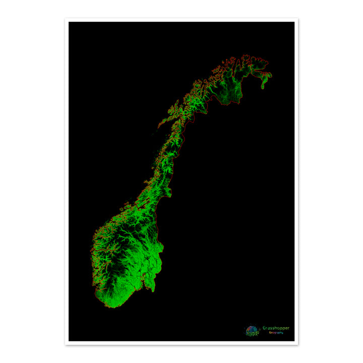 Norvège - Carte du couvert forestier - Tirage d'art