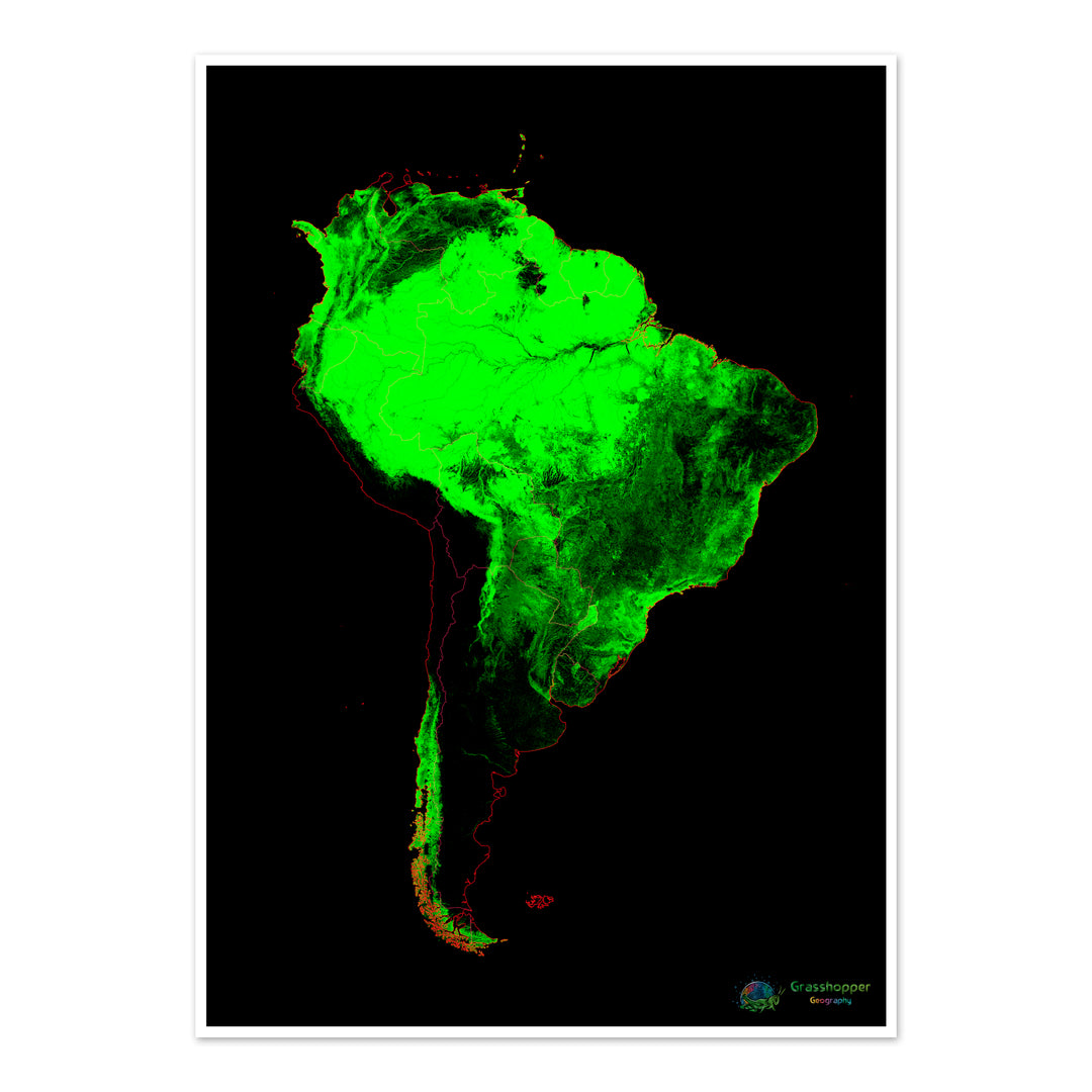 América del Sur - Mapa de cobertura forestal - Impresión de Bellas Artes