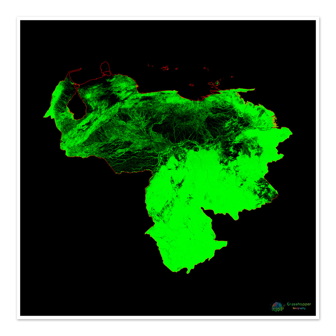 Venezuela - Carte du couvert forestier - Tirage d'art