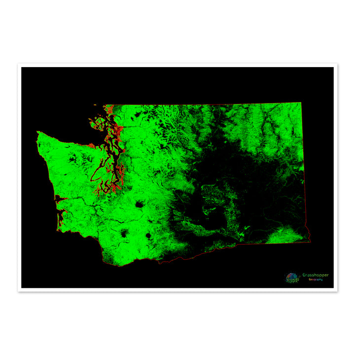Washington - Mapa de cobertura forestal - Impresión de bellas artes