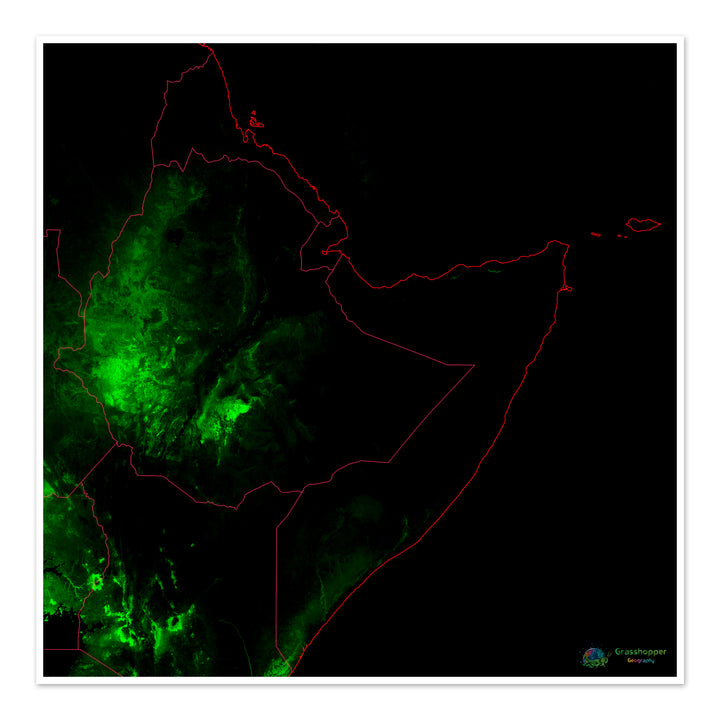 The Horn of Africa - Forest cover map - Fine Art Print