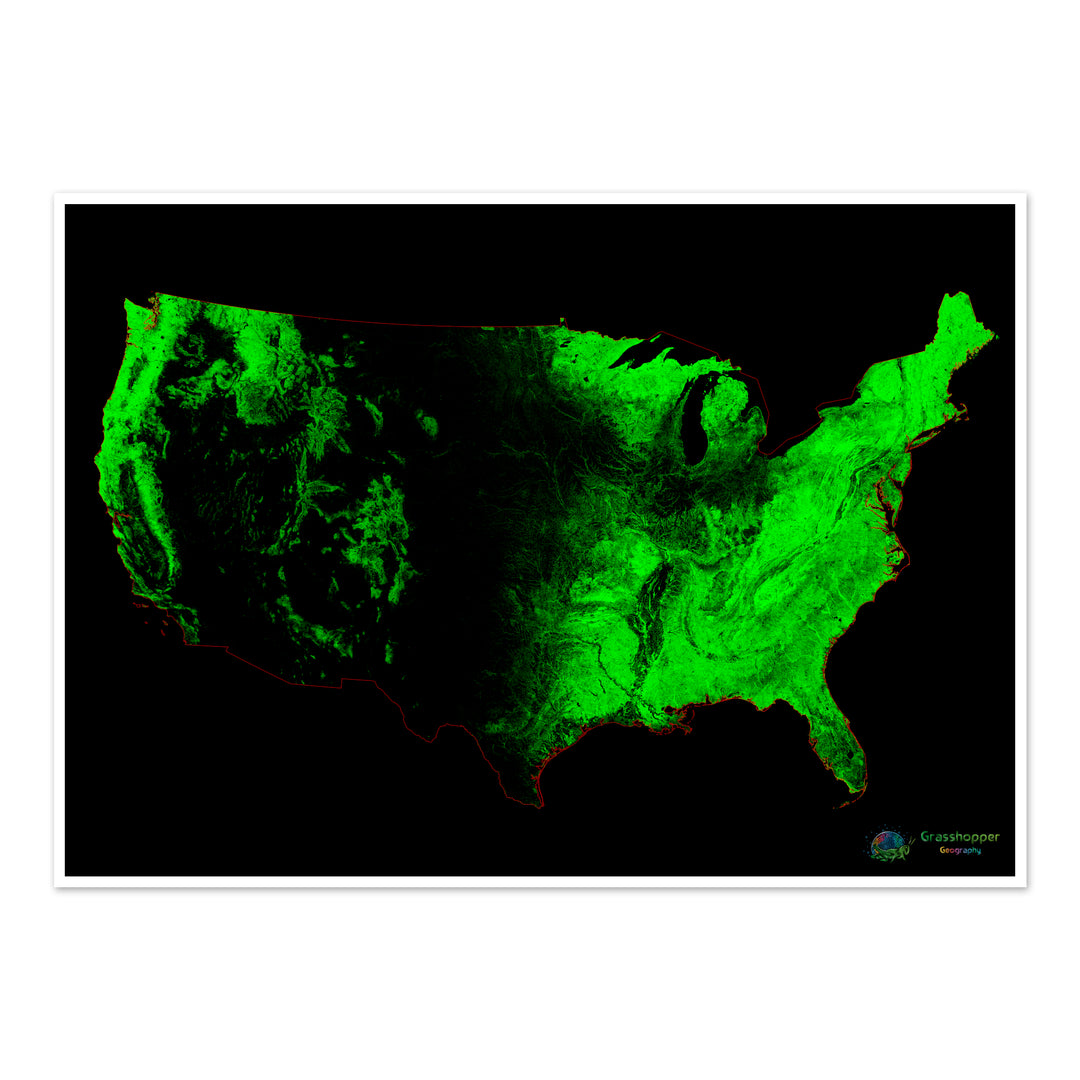 Estados Unidos - Mapa de cobertura forestal - Impresión de bellas artes