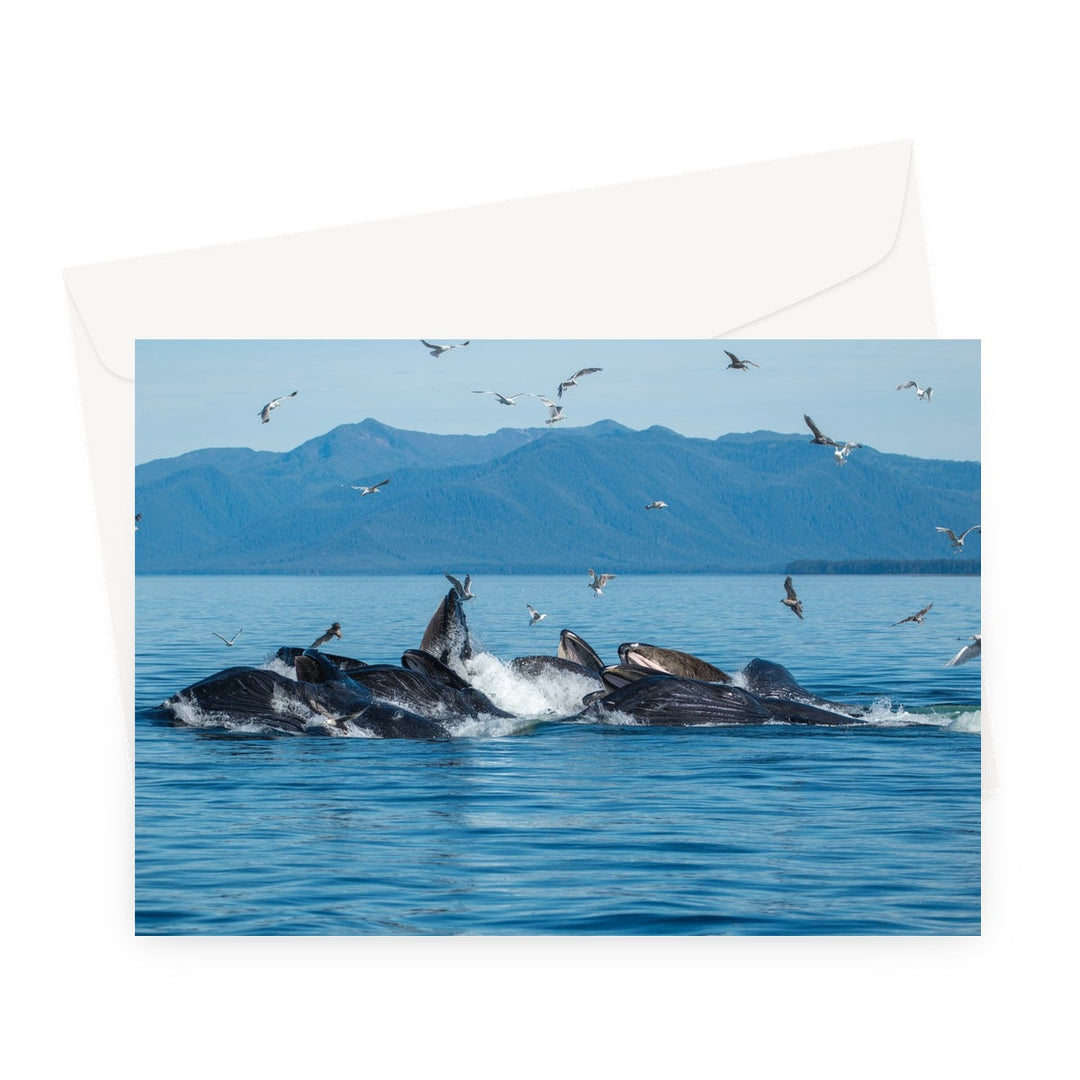 Alimentación con red de burbujas para ballenas jorobadas II - Tarjeta de felicitación