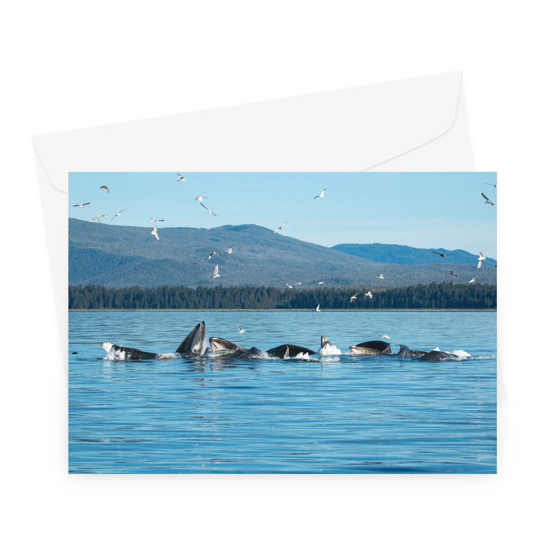 Humpback whales bubblenet feeding V - Greeting Card