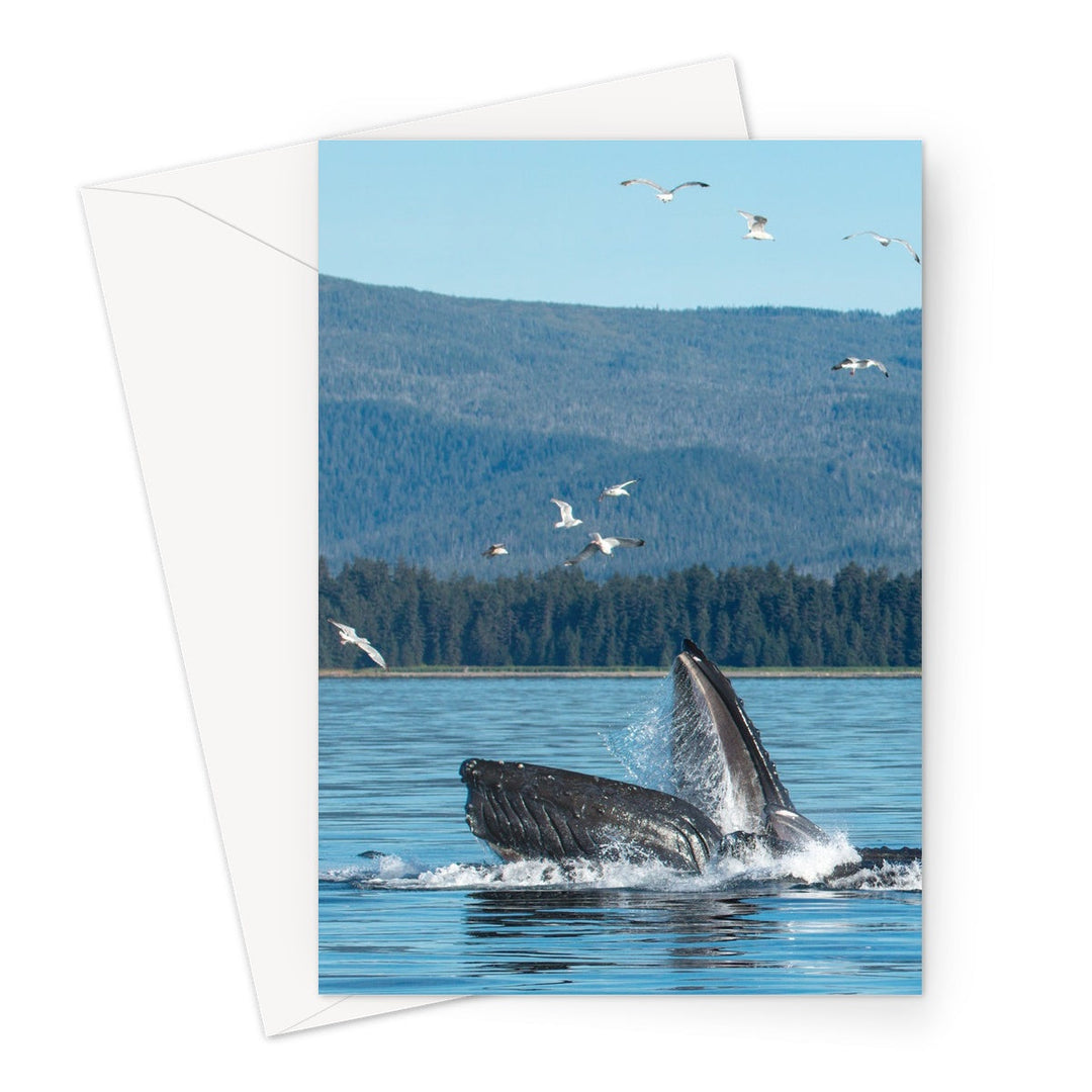 Humpback whales bubblenet feeding VI - Greeting Card