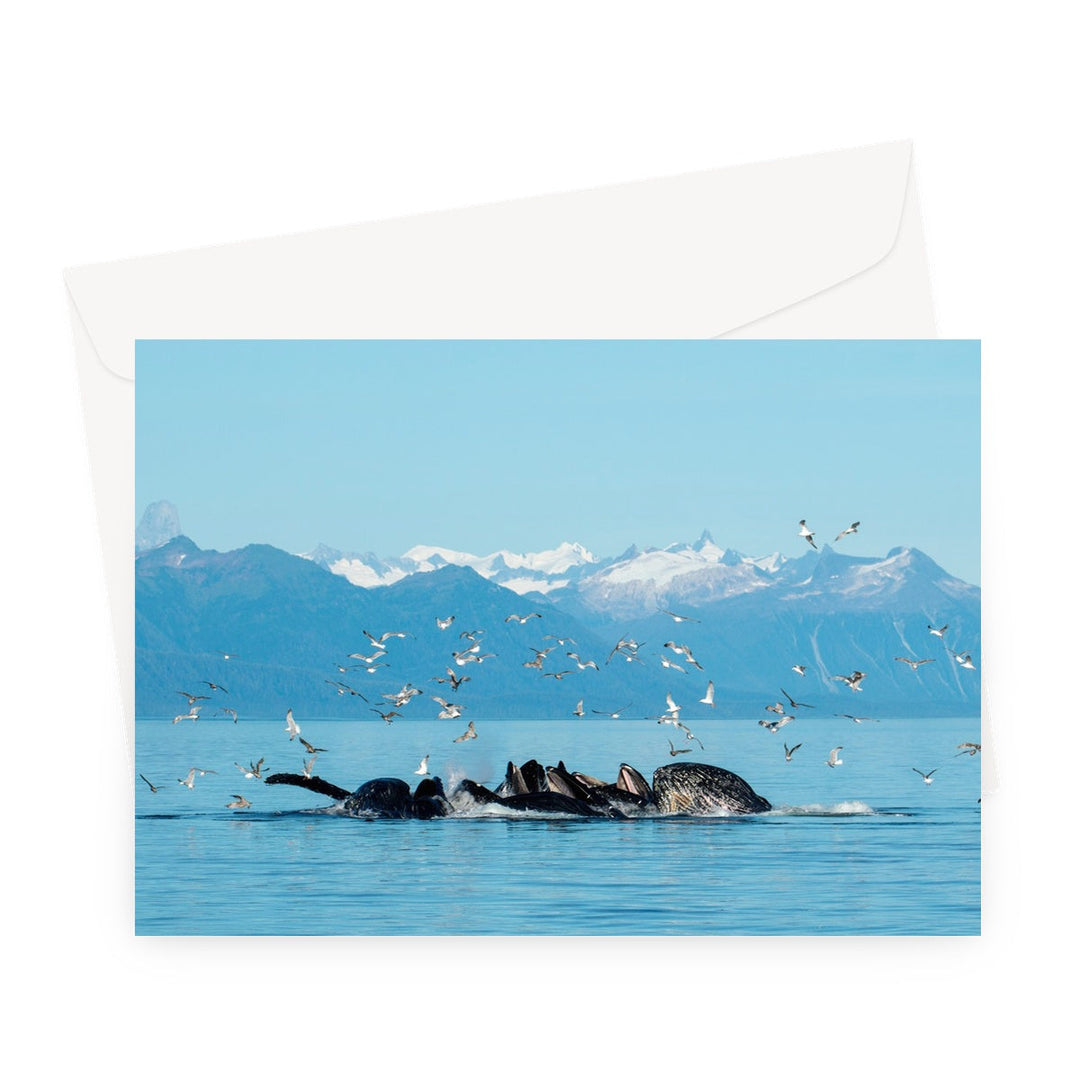 Humpback whales bubblenet feeding VIII - Greeting Card