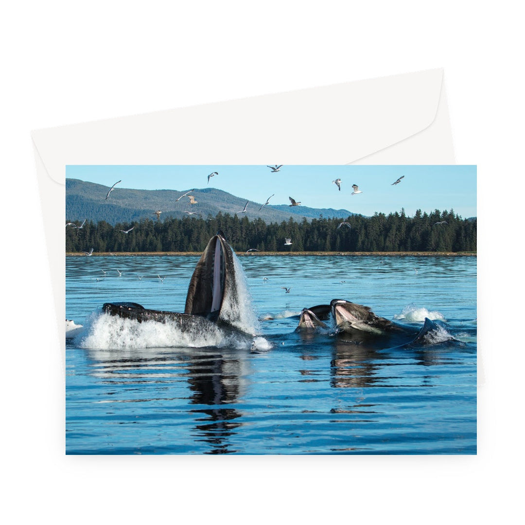 Humpback whales bubblenet feeding X - Greeting Card