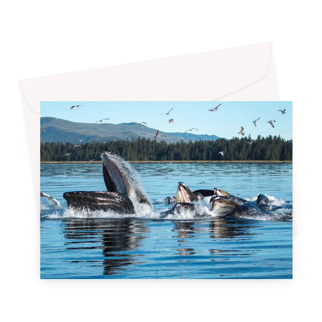 Humpback whales bubblenet feeding XI - Greeting Card