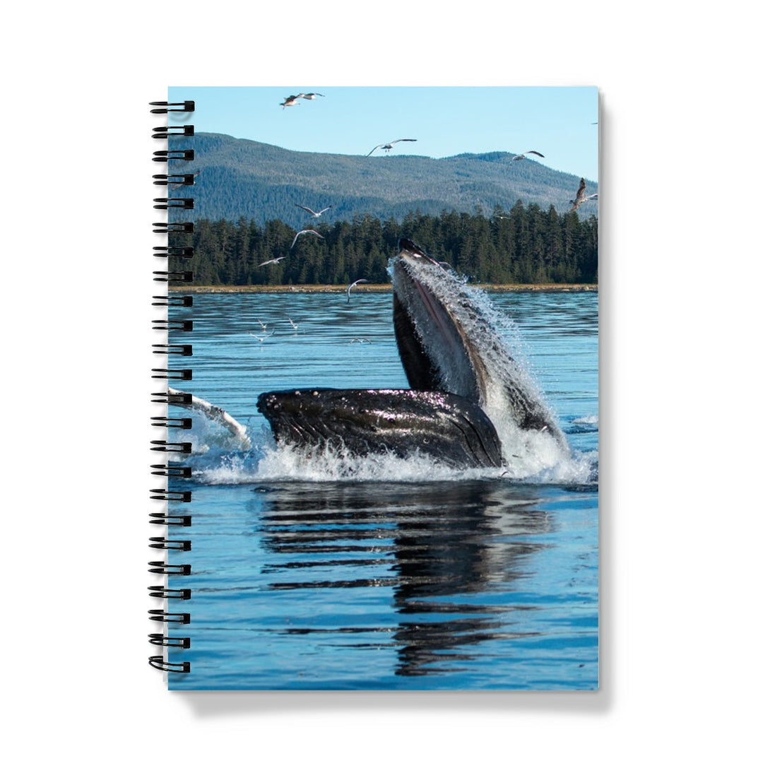Humpback whales bubblenet feeding XI - Notebook