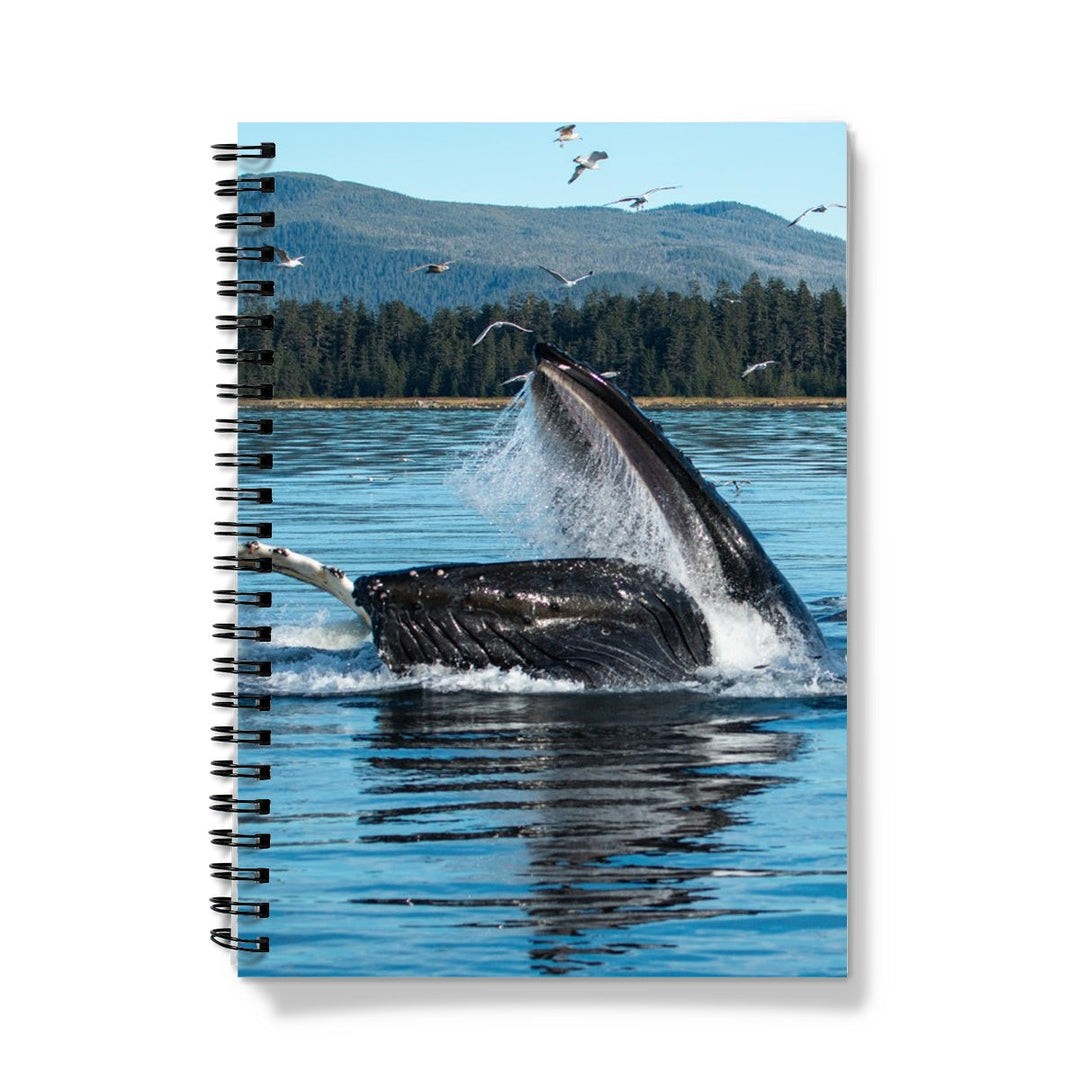 Humpback whales bubblenet feeding XII - Notebook
