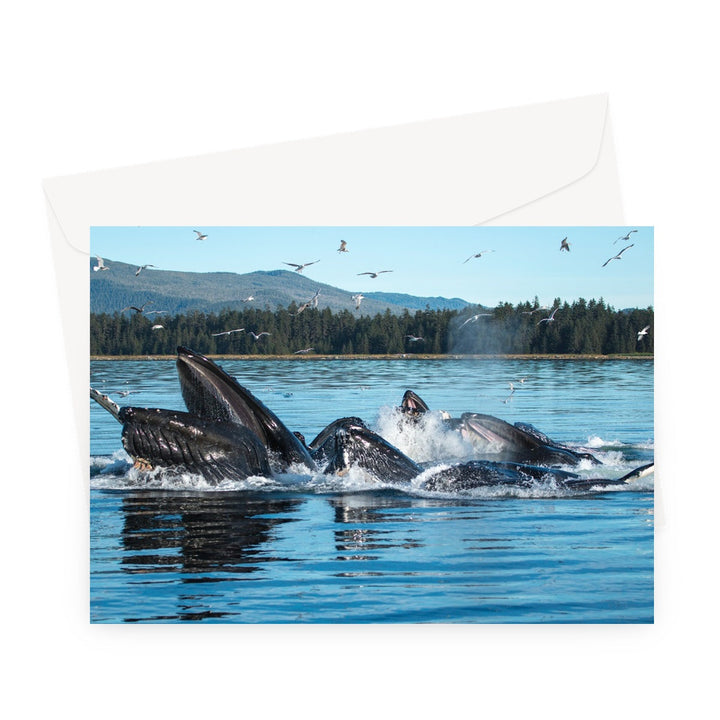 Humpback whales bubblenet feeding XIII - Greeting Card