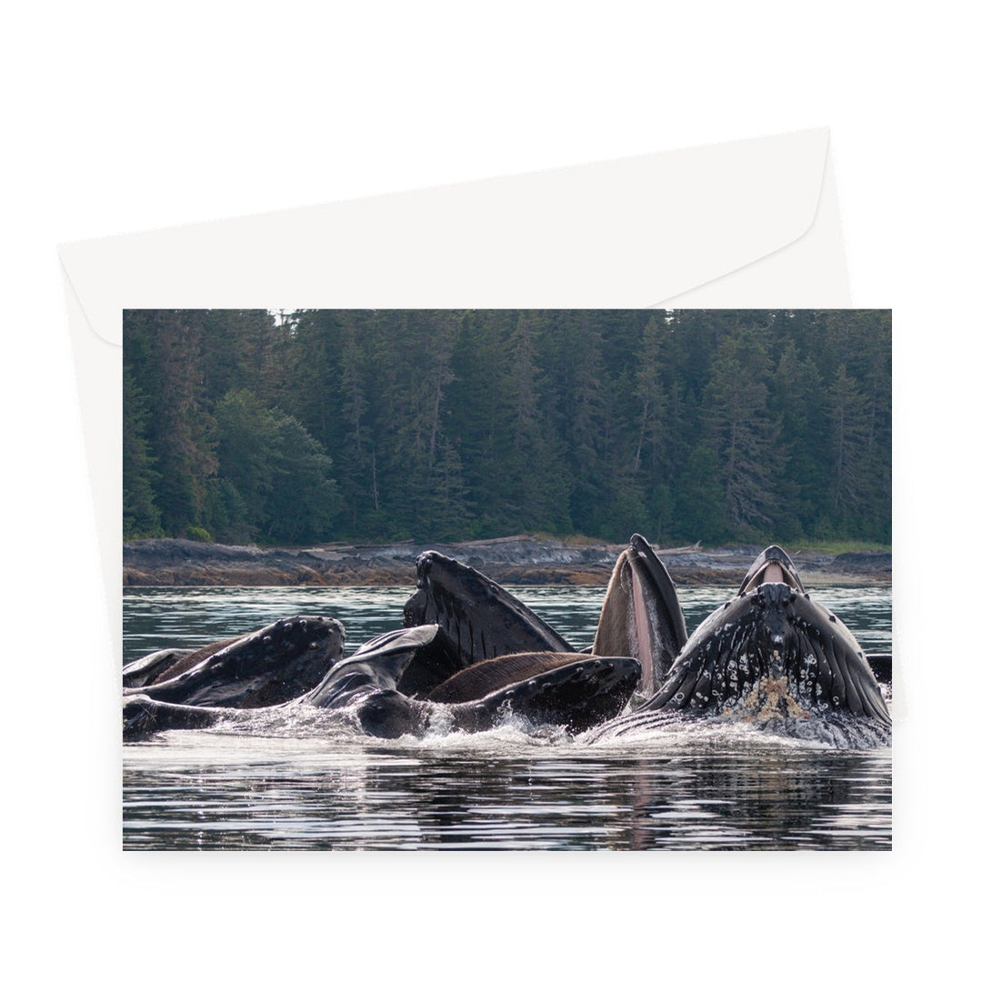 Humpback whales bubblenet feeding XVI - Greeting Card
