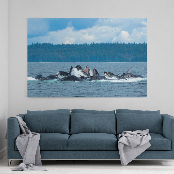 Humpback whales bubblenet feeding XVIII - Canvas