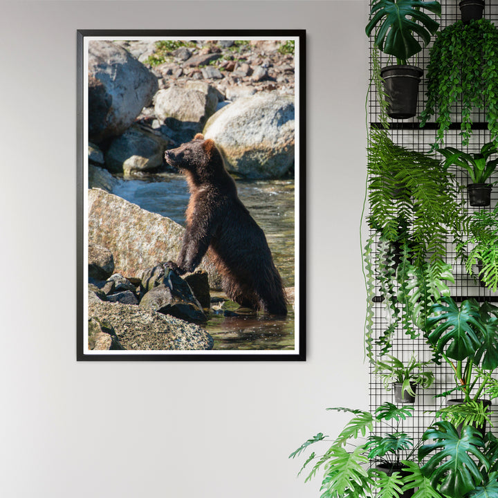 Nice catch - Photo Art Print