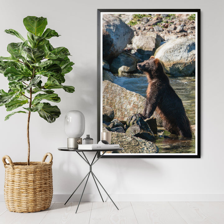 Nice catch - Hahnemühle Photo Rag Print