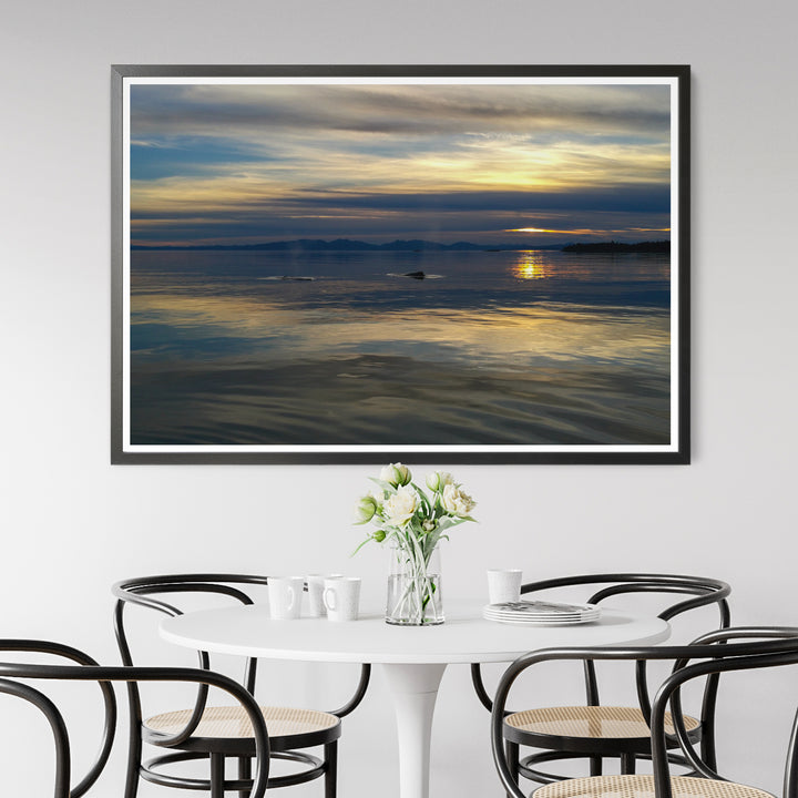 Sunset with whales - Photo Art Print