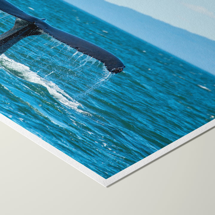 Deep dive II - Hahnemühle Photo Rag Print