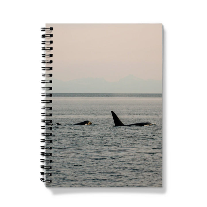 Orcas en la hora dorada - Cuaderno