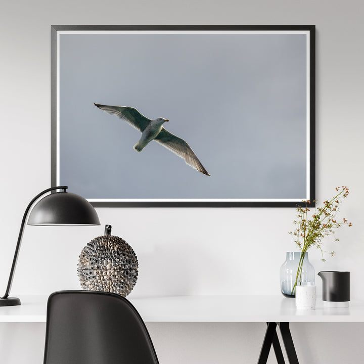 Мирное предложение - Hahnemühle Photo Rag Print