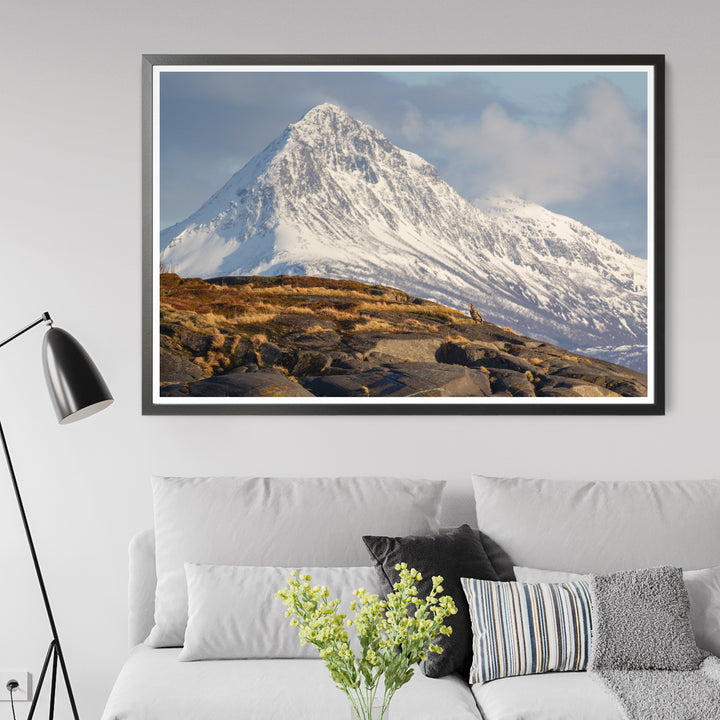 Ein Seeadler im arktischen Frühling – Hahnemühle Photo Rag Print