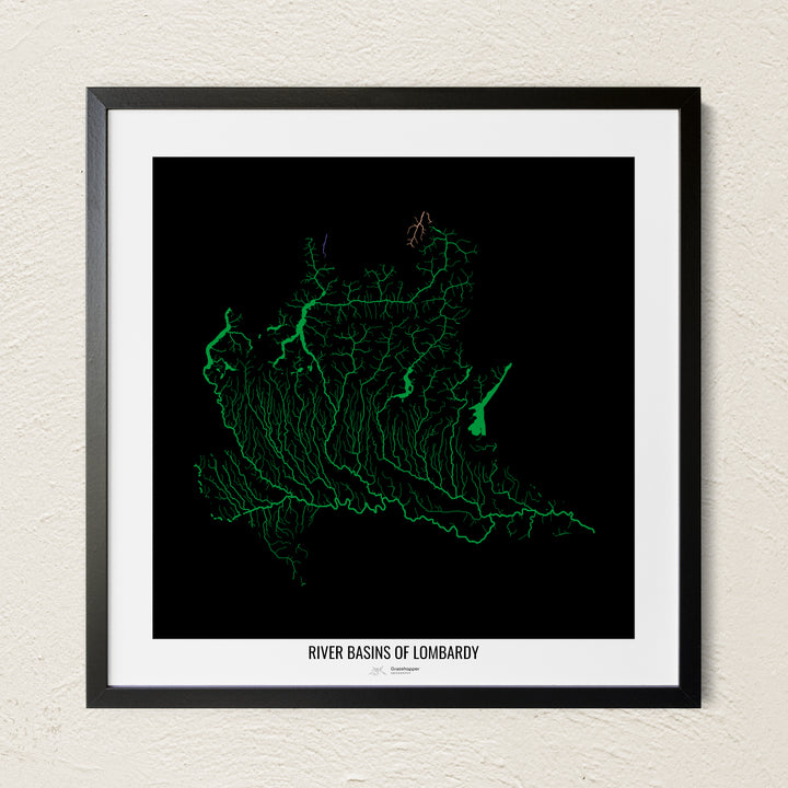 A colorful Grasshopper Geography river map on a light wall. The premium fine art poster is in a black frame with a white border. The name of the country, continent or region is printed under the image.